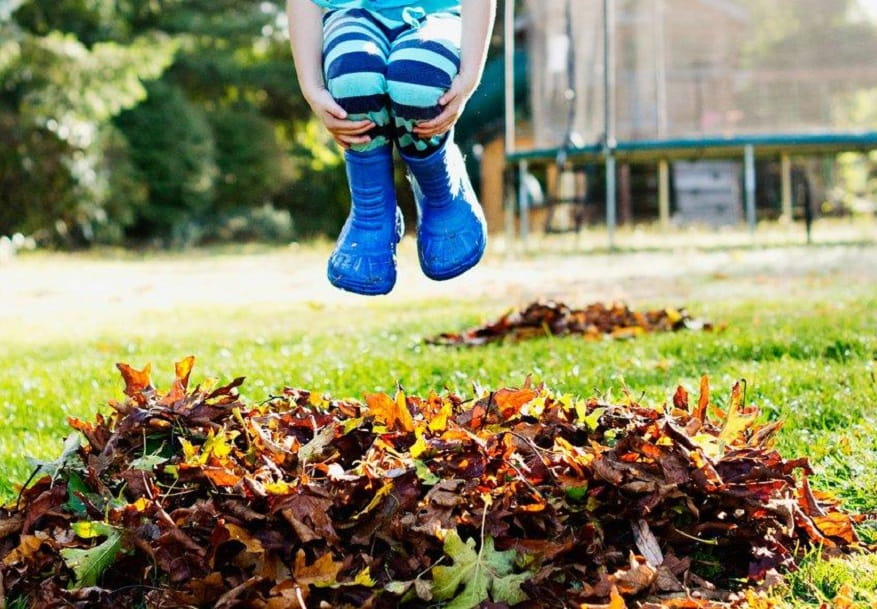 Jumping In leaves! 6 Creative Spins on Classic Fall Fun